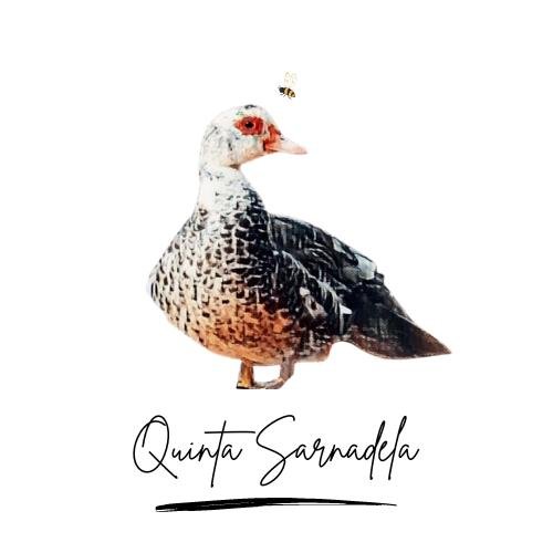 Quinta Sarnadela